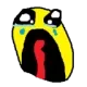 FREAKOUT FREAKOUT