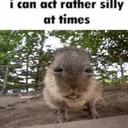 ICanActRatherSillyAtTimes