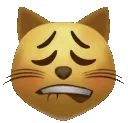 KittyKain