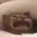 zkittycry Discord Emoji