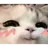 Catsmug CatSmug Discord Emoji