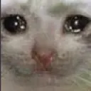 emoji_7 emoji_7