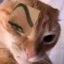 thecrock