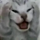 cathadenough