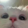 emoji_21