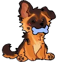 LP_z_sit_dog