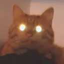 TheHolycat Discord Emoji