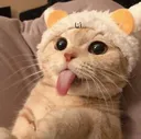 FB_IMG_15902274455258984