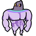 isoStrong