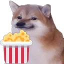 doggo_popcorn