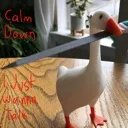 GooseCalmDown