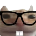 nerdCat
