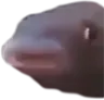 mmmFish