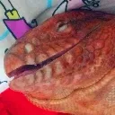 Happynoises Discord Emoji