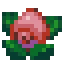 HeartBerry HeartBerry