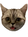 bleb bleb
