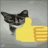 catthumbsup catthumbsup