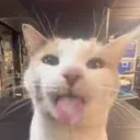 emoji_11