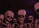 Xd