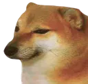 doggo