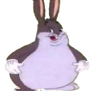 BigChungus Discord emoji