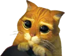 Shrek_Cat_Please