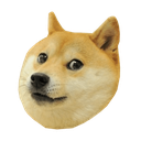 doge_right