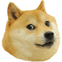 doge