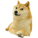 smilingdoge_right