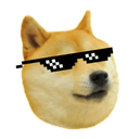cooldoge