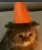 HyCatSad