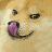 doge_prrffff