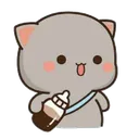 kedi1