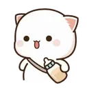 kedi2