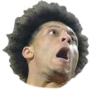 wiggintonnut wiggintonnut