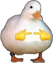 DuckUwU