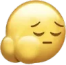 bota bota