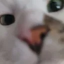 doyougotgamesonyourphone