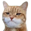 Tiredofthisshit Discord Emoji