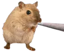 WeedMouse