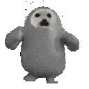 run