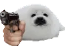 gun