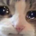 emoji_75 emoji_75