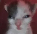 sad