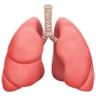 ioslungs