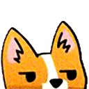 fox_stare
