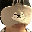 chancantsee