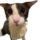 :__: