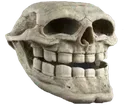 trolloskull trolloskull