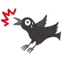 crowshocked